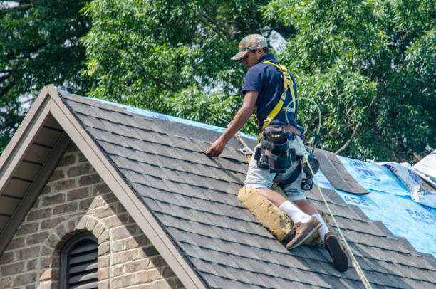 Best Sealant for Roof  in Twin Lakes, VA